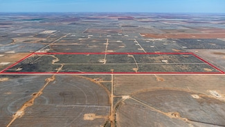 0, Loop, TX 79342