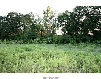 Lot 8 Farm To Market 244, Anderson, TX 77830