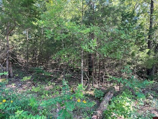 Lot 45 Hourglass Dr, Midway, AR 72651