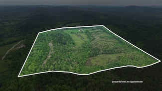 TBD Ryan Rd Unit 5, Oden, AR 71961