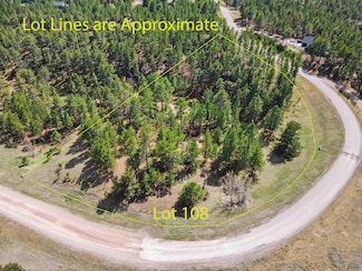 TBD Frontier Loop Unit Lot 108, Piedmont, SD 57769