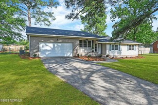 6234 Brassie Dr, Grifton, NC 28530