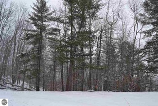 0 Lackey Rd, Williamsburg, MI 49690