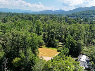59 Stuyvesant Rd, Asheville, NC 28803