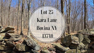 lot 25 Kara Ln, Bovina, NY 13740