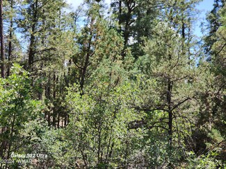 0 Timber Ranch Rd Unit 251507, Show Low, AZ 85901