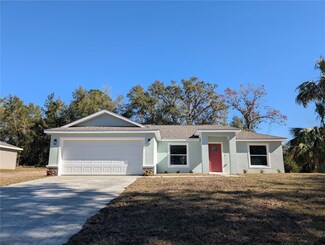 13521 SE 101st Ave, Belleview, FL 34420