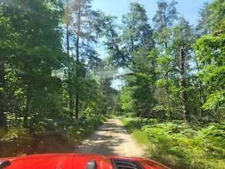 VL W Jones Lake Rd, Grayling, MI 49738