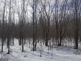 xxx Cty Rd 70, Littlefork, MN 56653