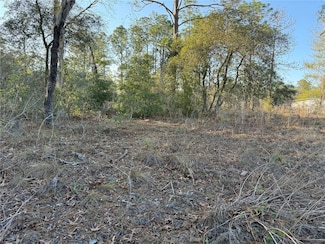 00 SW 165th Avenue Rd, Ocala, FL 34481