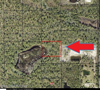 0000000000 No Access W of Pine Sap Ln, Grant, FL 32949