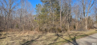 1966 Mallard Ln, Carterville, IL 62918