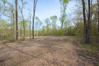 0 Norris Hollow Rd Unit RTC2817594, Vanleer, TN 37181