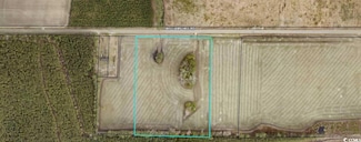 TBD2 Williams Hill Rd, Hemingway, SC 29554