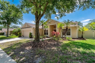 8211 Canyon Creek Way, Tampa, FL 33647