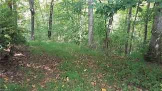 12 Noel Rd, Stoneville, NC 27048