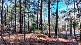 00 Town Farm Rd, Ludlow, VT 05149