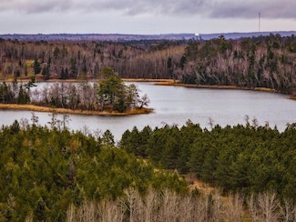 TBD 141st Ave, Bagley, MN 56621