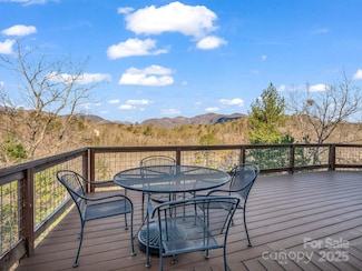 157 Silver Tree Ln, Lake Lure, NC 28746