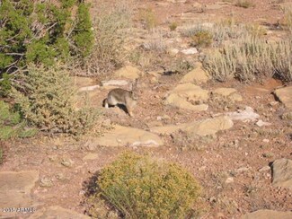 Lot 677 Ccr Unit 4 -- Unit 677, Heber, AZ 85928