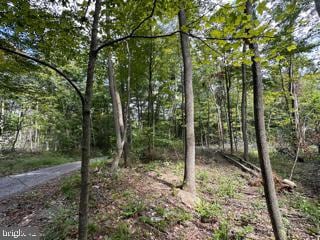 0 Mountain Air Subdivision - Lot 15, Springfield, WV 26763