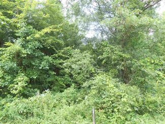 5.01 Ac County Rd E, Adams, WI 53910