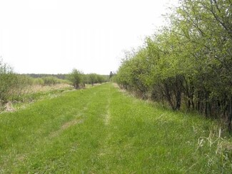 OFF Maple St, Phillips, WI 54555