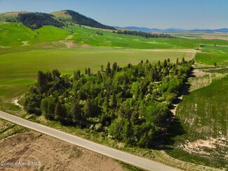 0 Nka Desmet Rd Unit 24-4399, Desmet, ID 83824
