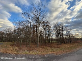 Lot 16 Crooked Stick Ln, Hazle Township, PA 18202
