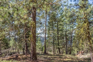 161 Little Donner Dr, Cascade, ID 83611