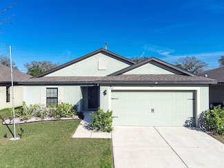 1107 Brenton Leaf Dr, Ruskin, FL 33570