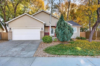 354 Amber Dr, Windsor, CO 80550