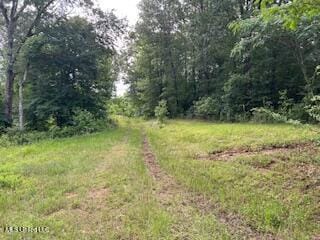 1968 Bend Rd, Coldwater, MS 38618