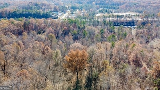 0 Auraria Rd Unit 10646579, Dawsonville, GA 30534