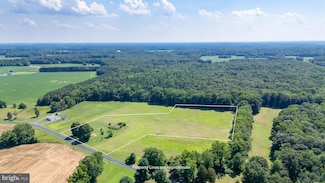 311 Hatchett Rd, Centreville, MD 21617