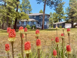 867 Crestview Dr, Mormon Lake, AZ 86038