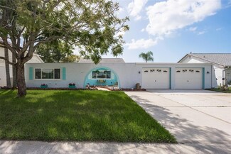 3611 Delta Place, Holiday, FL 34691