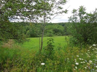 2704 E Freetown Texas Valley Rd, Cincinnatus, NY 13040