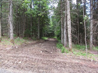 4 Bear Rock, Pittsburg, NH 03592
