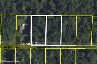 313 & 315 Tapuco Dr, Penn Forest Township, PA 18210