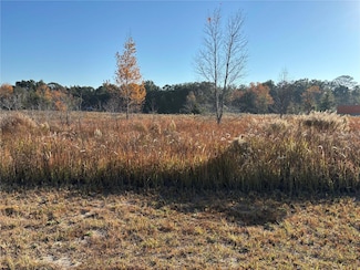 0 0 Sw 32nd Place, Ocala, FL 34481