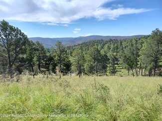 204 Guenevere Ave, Ruidoso, NM 88345