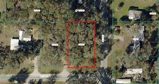 TBD SE 51st Ct, Summerfield, FL 34491