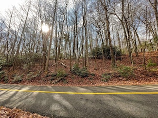 Lot 45 Southern View Trail, Fancy Gap, VA 24328
