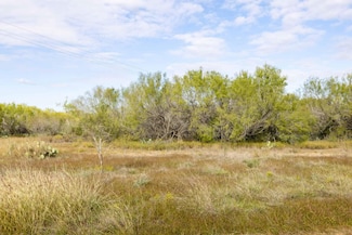 0 County Road 4201, Pearsall, TX 78061