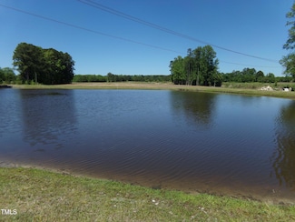 Lot 5 Triskel, Zebulon, NC 27597