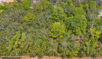 3366 N Annapolis Ave, Hernando, FL 34442