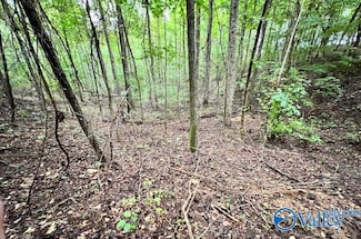3.78 Acres Flicker Way, Athens, AL 35614