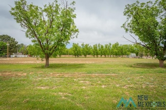 0000 Brandon Way, Roswell, NM 88201