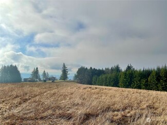 0 Mt Pleasant Rd Unit NWM2022494, Kelso, WA 98626